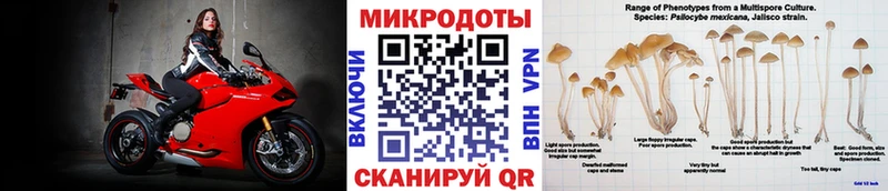 Псилоцибиновые грибы ЛСД  Купить закладки  Кохма 